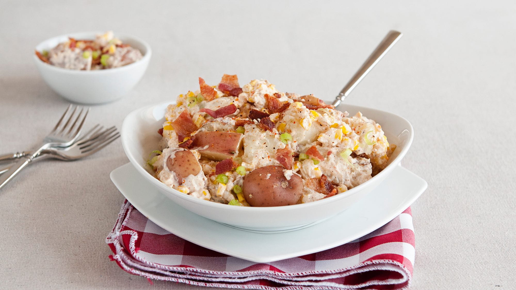 McCormick® Onion Powder